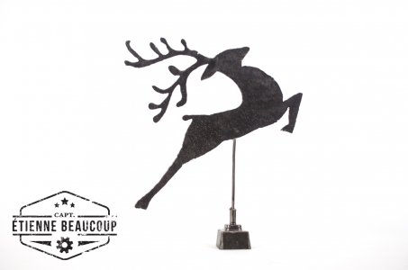 #D002 - COMET ON A STICK